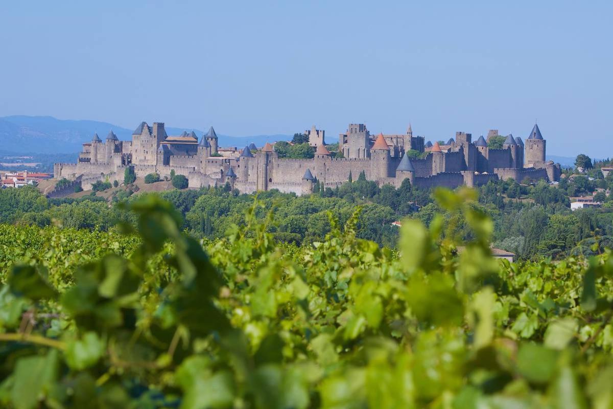 Tout Confort ! Calme, Climatisation, Vue Degagee, Ville ,Parking Gratuit, Ascenseur, Wifi Carcassonne Ngoại thất bức ảnh