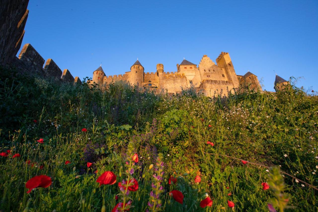 Tout Confort ! Calme, Climatisation, Vue Degagee, Ville ,Parking Gratuit, Ascenseur, Wifi Carcassonne Ngoại thất bức ảnh